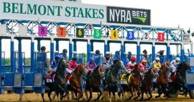 Major Track Upgrade and Renovations Completed at Belmont Park