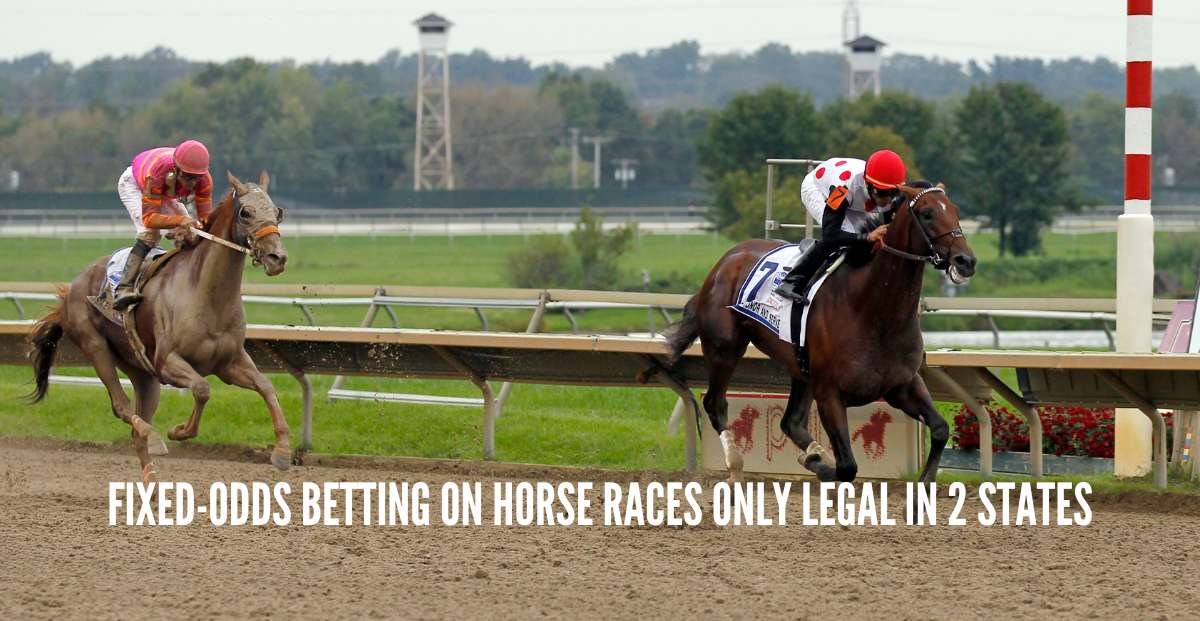Learn about the fixed-odds offered by MonmouthBets at NJ Horse Racing for Parx Racing.